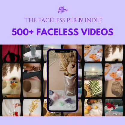 500+ PLR Faceless Video Bundle